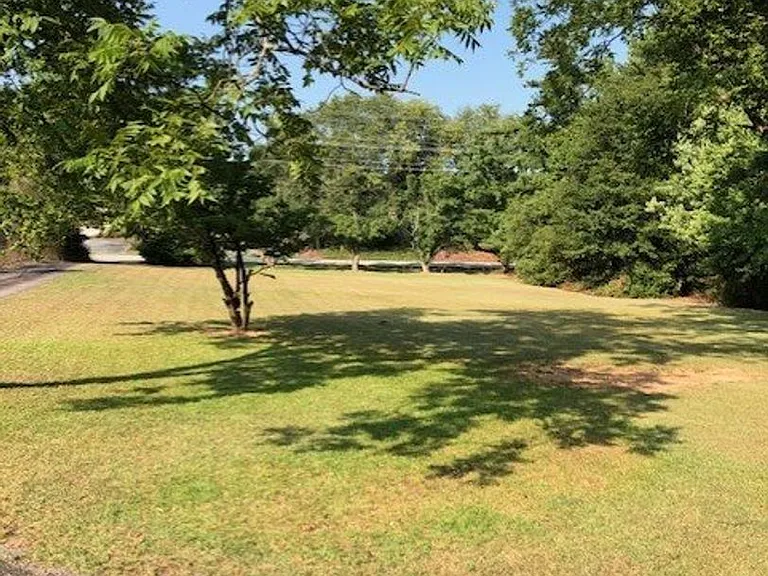 217 Roper Mountain Road Ext — Photo 9