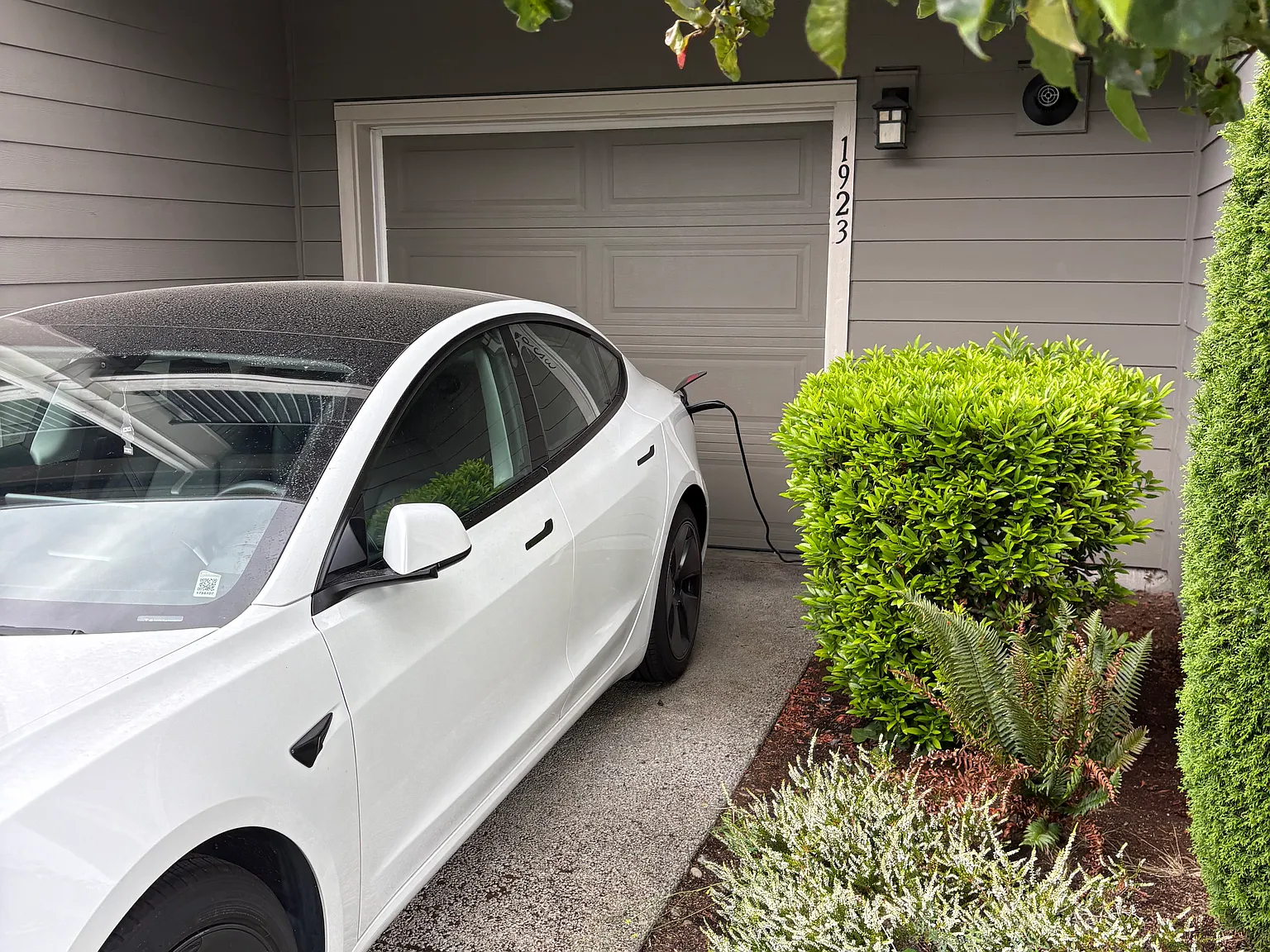 3 bed, 1314 sqft, $2,395 — Photo 4