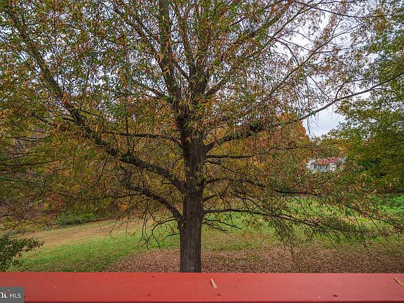 4th image of 14856 Lynhodge Ct