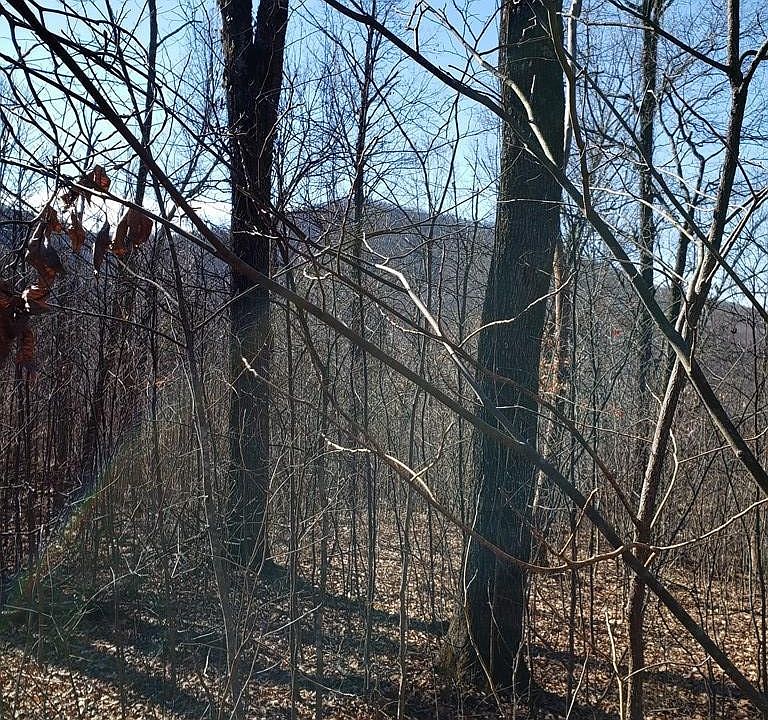 1st image of 0 Way Lot 35-36