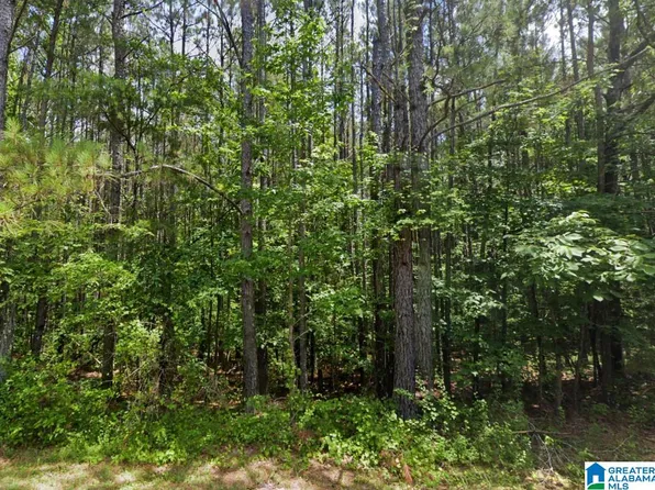 0 Old Tuscaloosa Rd, Jasper, AL 35501