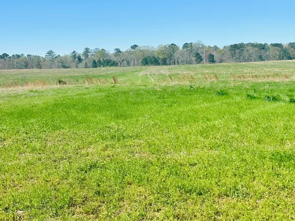 279 Hamil Rd Lot 8, Griffin, GA 30223