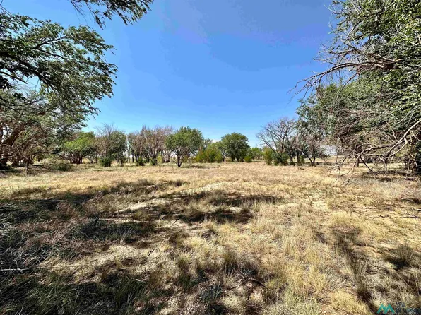 1824 S Roosevelt County Rd #18, Portales, NM 88130