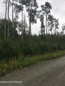 4347 N Sandhill Crane St, Wasilla, AK, 99654