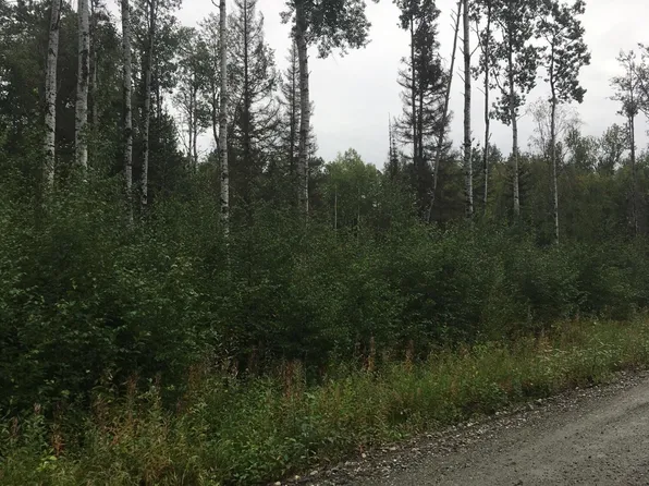 4347 N Sandhill Crane St, Wasilla, AK 99654