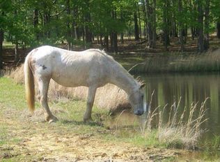 1410 Foster Rd, Adamsville, TN 38310