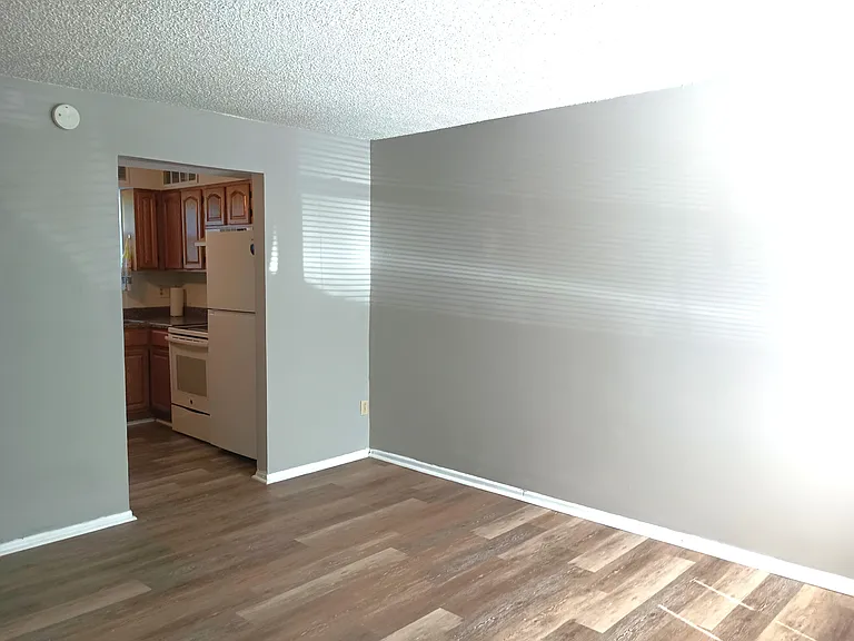 Living Room into Kitchen