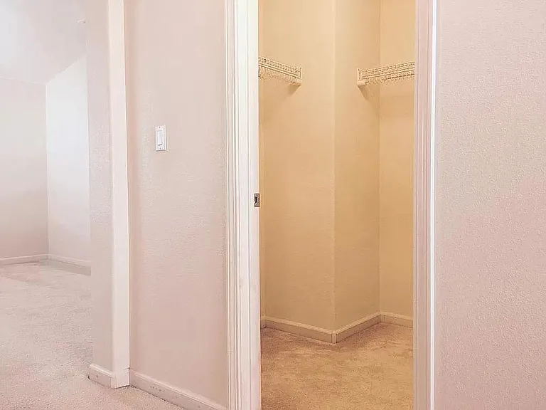 master cabinet & closet