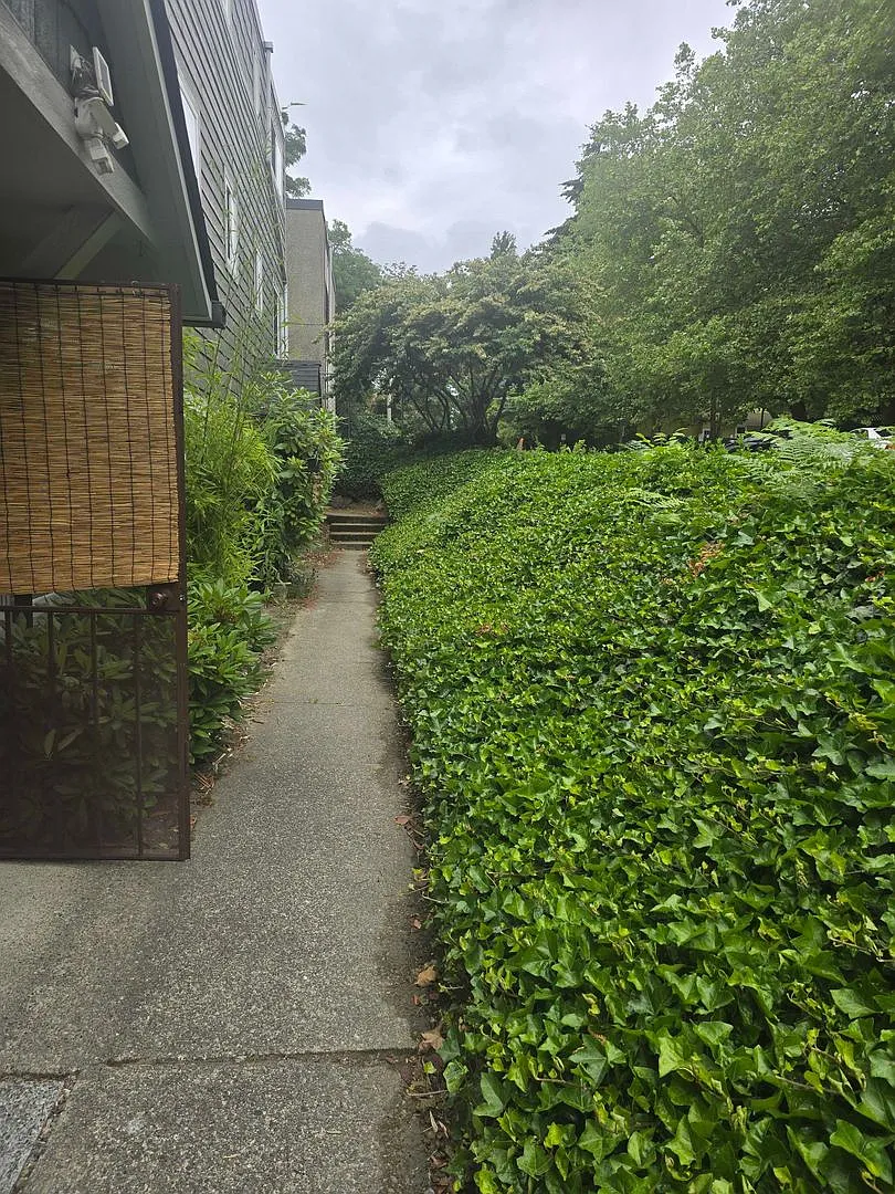 Pudgetsoudhousingsolutions, LLC - 240 S 152nd St Apt 118 — Photo 4
