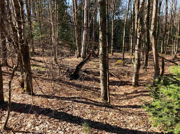 TBD Florence Road, Waterville, VT 05492