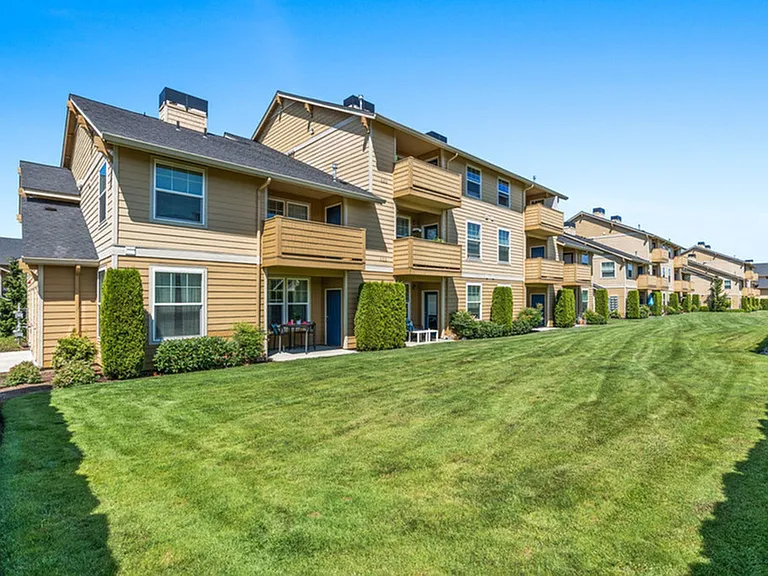 Large Back Yard