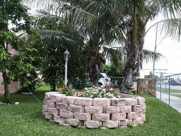 Front yard side view