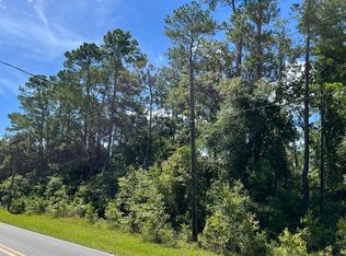 1238 NW Moore Rd, Lake City, FL 32055