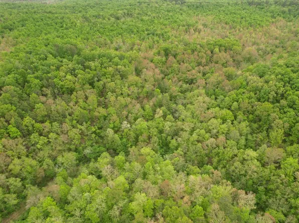 0 Timberhill Rd, Hartshorn, MO 65479