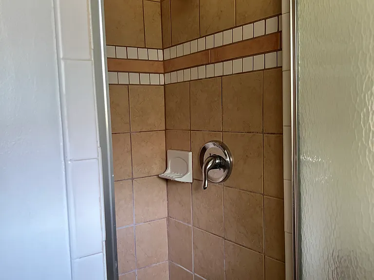 Master Shower Box