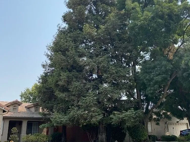 2832 S Teddy St — Photo 2