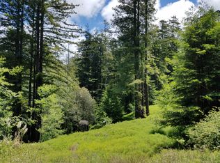 44030 Johnson Park Rd, Caspar, CA 95420