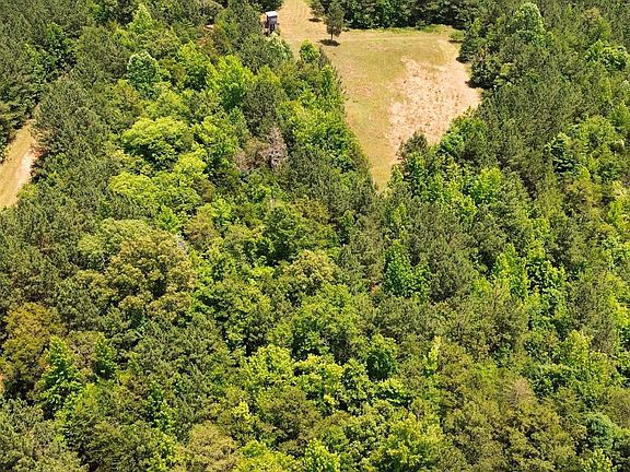 4th image of 246 Lee Rd