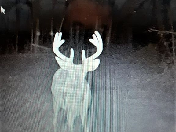 4th image of 637 Lake Road