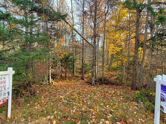 2nd image of 125 Cumberland Line Rd