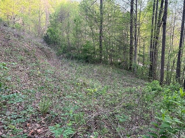 1st image of 0 Yellow Branch State Rd.1267