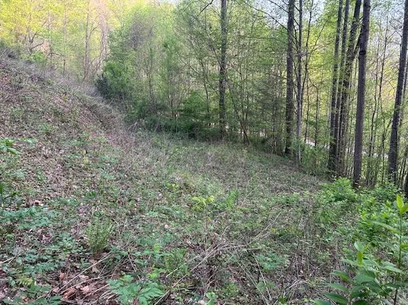 0 Yellow Branch State Rd.1267, Robbinsville, NC 28771