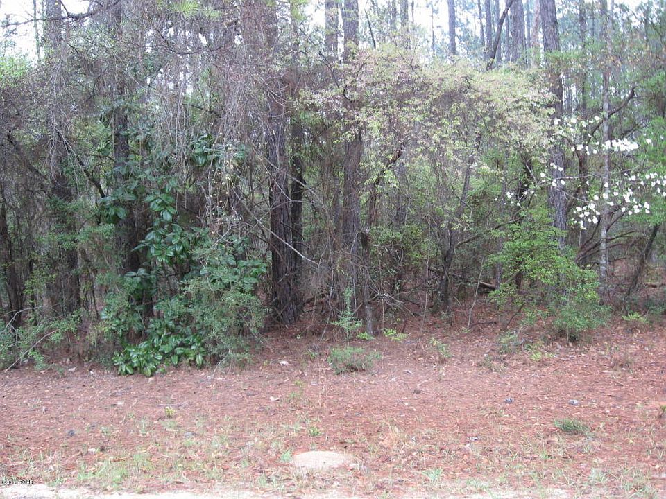 2nd image of Yvette Dr