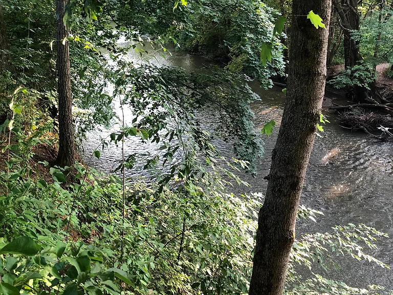 Rocky Fork Dr — Photo 7
