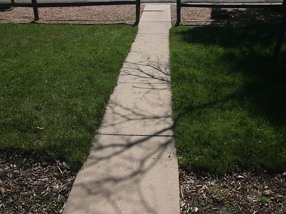 5th image of 6736 Palace Dr