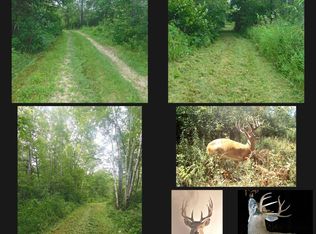 9393 Oak Grove Rd SW, Motley, MN 56466