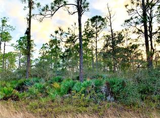 536 Pierce Pl, Lake Placid, FL 33852