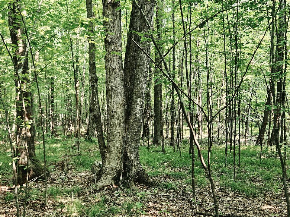 1st image of Off Hwy #8-40ACRES