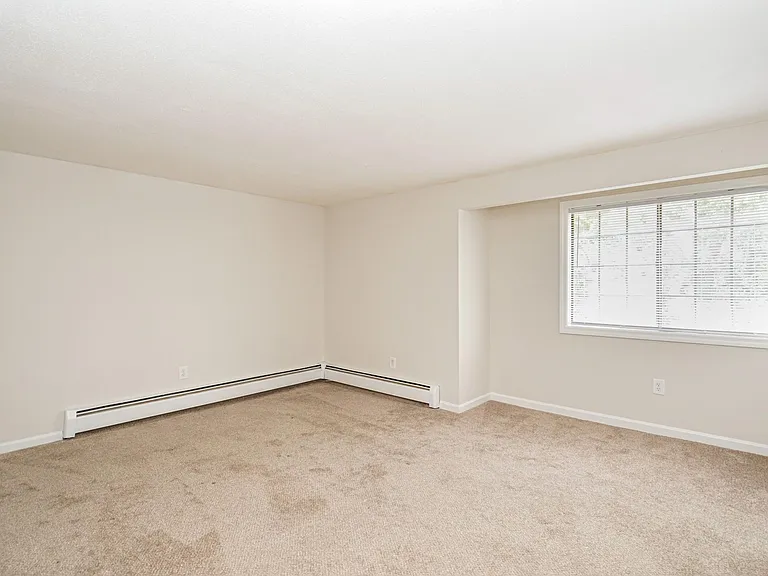 Pine Brook — Photo 22