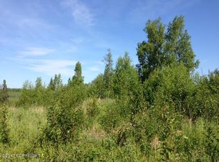 1164 N Beaver Lake Rd, Wasilla, AK 99623