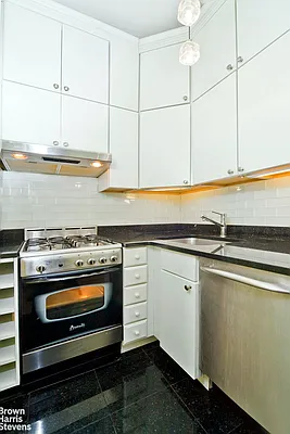 Rented by Brown Harris Stevens | media 3