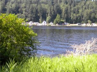 39018 Ski Park Rd E, Eatonville, WA 98328