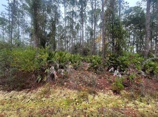 222 Marie Ave #32, Georgetown, FL 32139