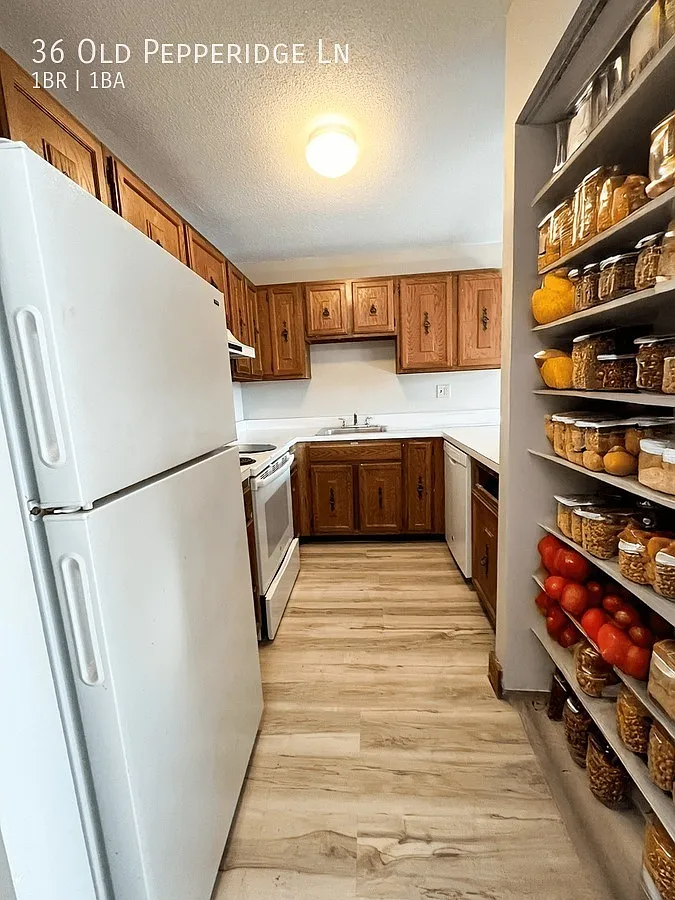 Modern 1BR Apartment in Wethersfield Available Now — Photo 2