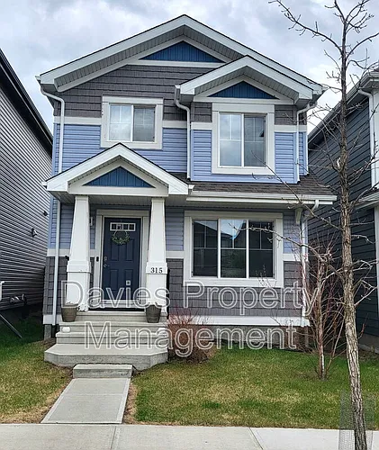 315 42nd Ave NW Photo 1