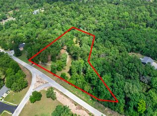 501 Lake Point Rd, Kissee Mills, MO 65680