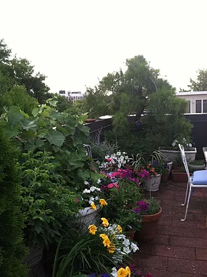 Sold by Dwell Residential Inc | media 18