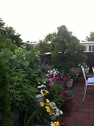 Sold by Dwell Residential Inc