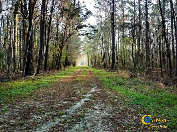 0 Clubhouse Rd, Ravenel, SC 29470