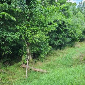 0 County Highway 7, Dillonvale, OH, 43917