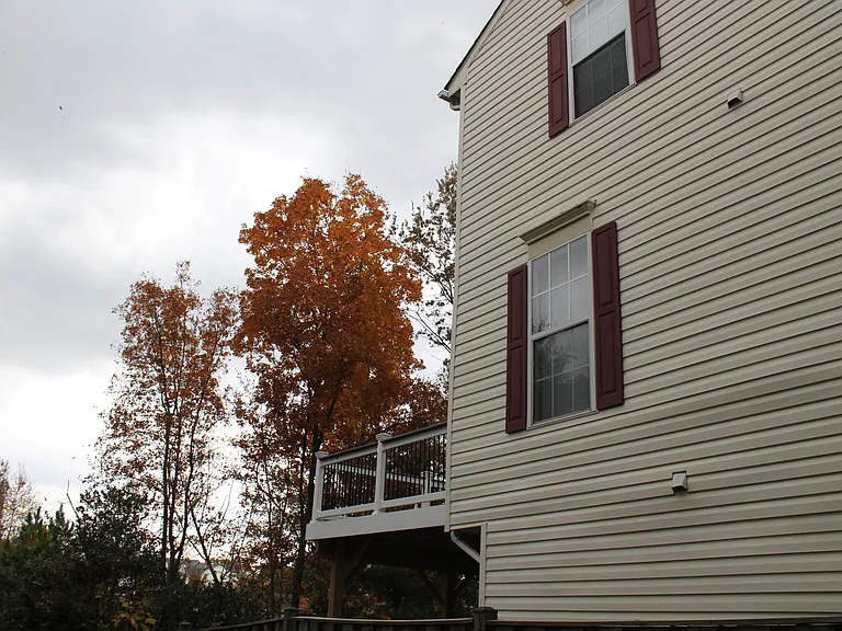 SIde view