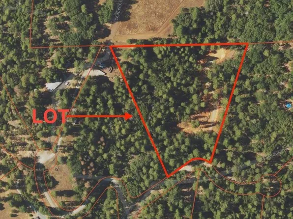 15101 Gold Dust Rd, Volcano, CA 95689