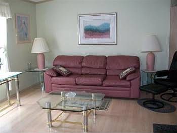 4th image of 69 Falls Way Dr