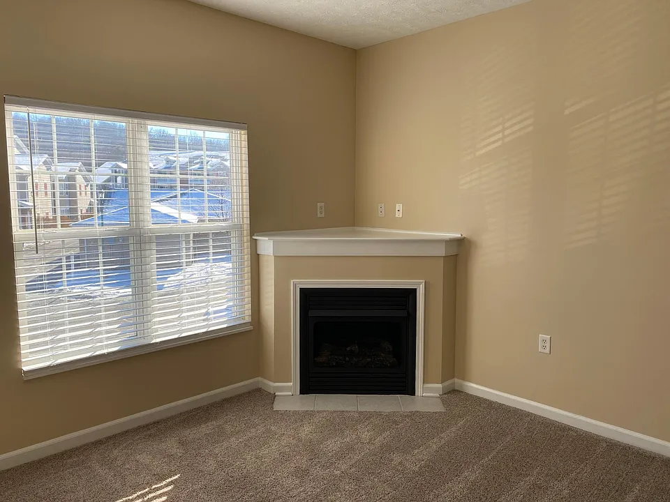 Gas fireplace