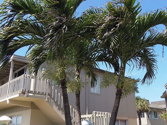 5th image of 1457 NE Ocean Blvd APT 23
