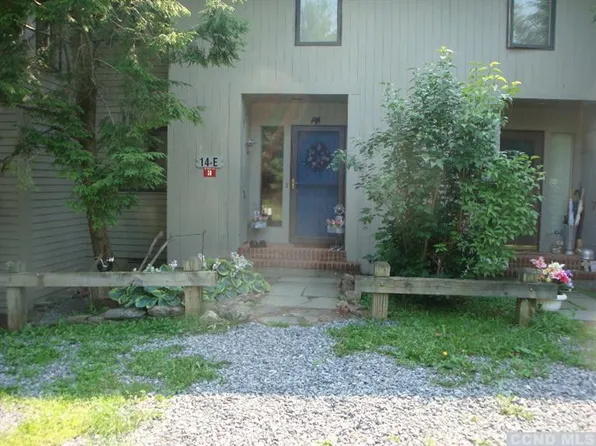38 Loo Bridge Ln #E, Windham, NY 12496